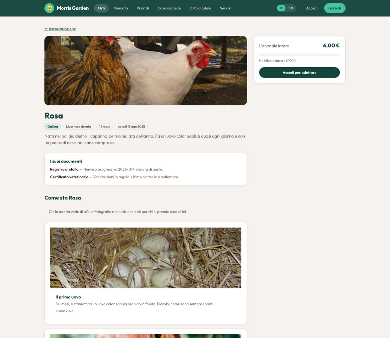An animal's profile on the visitor site